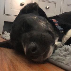 Meet your Posher, Chris